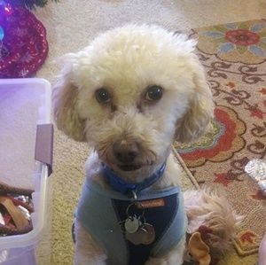 Meet your Posher, Faith